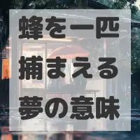 蜂を一匹捕まえる夢のサムネイル画像