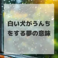 白い犬がうんちをする夢のサムネイル画像