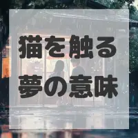 猫を触る夢のサムネイル画像