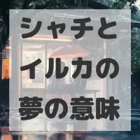 シャチとイルカの夢のサムネイル画像