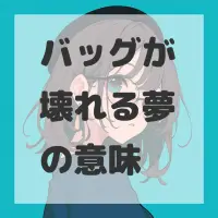 バッグが壊れる夢のサムネイル画像