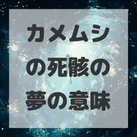 カメムシの死骸の夢のサムネイル画像
