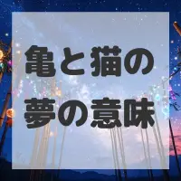 亀と猫の夢のサムネイル画像