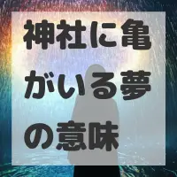 神社に亀がいる夢のサムネイル画像
