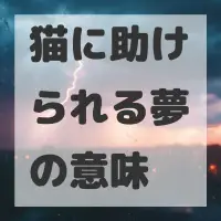 猫に助けられる夢のサムネイル画像