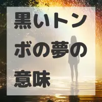 黒いトンボの夢のサムネイル画像