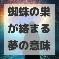 蜘蛛の巣が絡まる夢のサムネイル画像