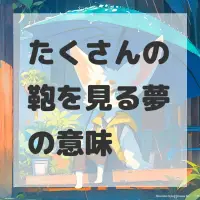 たくさんの鞄を見る夢のサムネイル画像