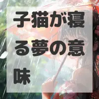 子猫が寝る夢のサムネイル画像