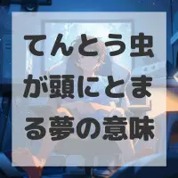 てんとう虫が頭にとまる夢のサムネイル画像