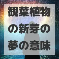 観葉植物の新芽の夢のサムネイル画像