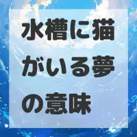 水槽に猫がいる夢のサムネイル画像