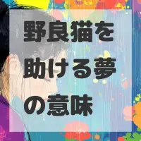 野良猫を助ける夢のサムネイル画像